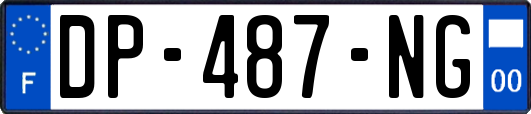 DP-487-NG