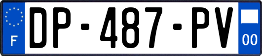 DP-487-PV