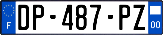 DP-487-PZ
