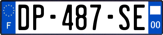 DP-487-SE