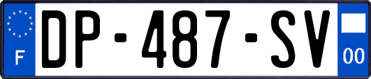 DP-487-SV