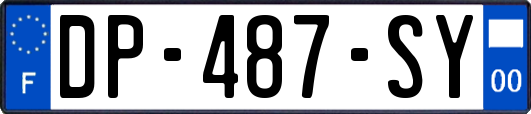 DP-487-SY