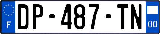 DP-487-TN