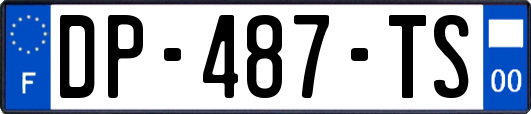 DP-487-TS