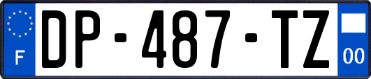 DP-487-TZ