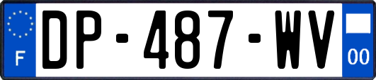 DP-487-WV