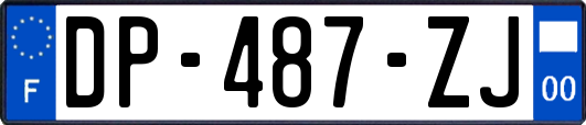 DP-487-ZJ