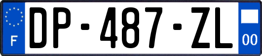 DP-487-ZL