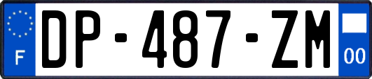 DP-487-ZM