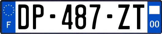 DP-487-ZT