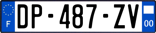 DP-487-ZV