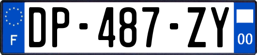 DP-487-ZY