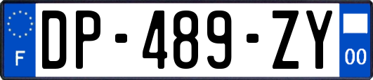 DP-489-ZY