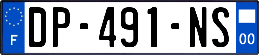 DP-491-NS