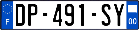 DP-491-SY