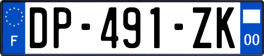 DP-491-ZK