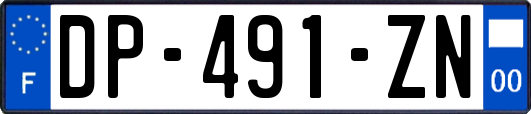 DP-491-ZN