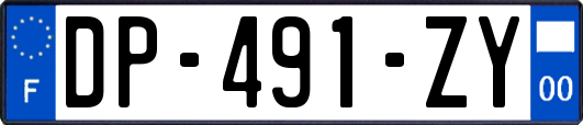 DP-491-ZY