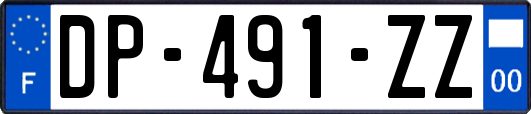 DP-491-ZZ