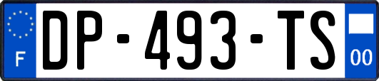 DP-493-TS