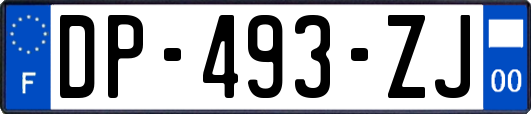 DP-493-ZJ