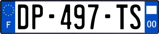 DP-497-TS