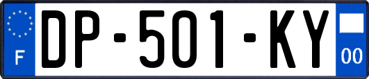 DP-501-KY