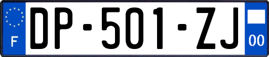 DP-501-ZJ