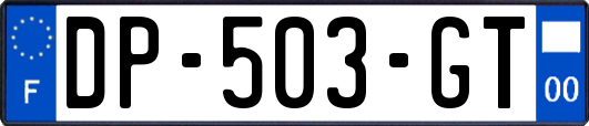 DP-503-GT