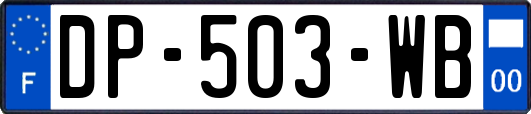 DP-503-WB