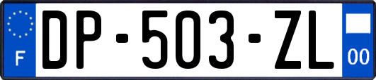 DP-503-ZL