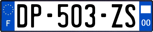 DP-503-ZS