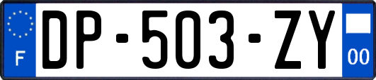 DP-503-ZY