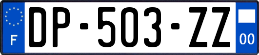 DP-503-ZZ