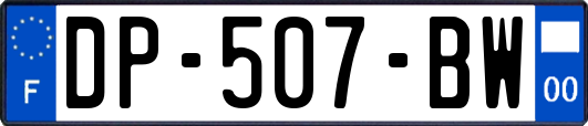 DP-507-BW