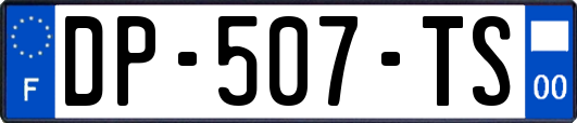 DP-507-TS