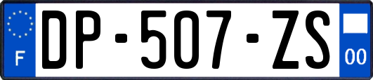 DP-507-ZS