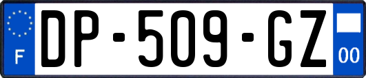 DP-509-GZ