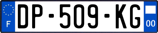 DP-509-KG