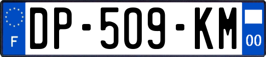 DP-509-KM