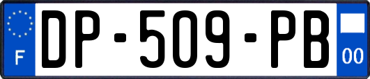 DP-509-PB