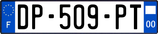 DP-509-PT