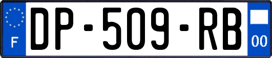 DP-509-RB