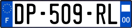 DP-509-RL