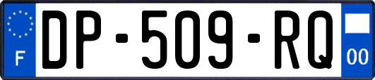 DP-509-RQ