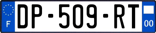 DP-509-RT