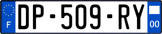DP-509-RY
