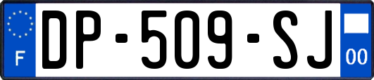DP-509-SJ