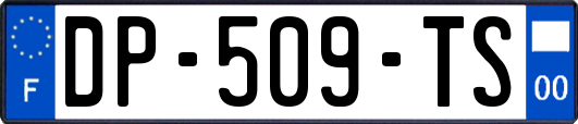 DP-509-TS