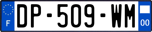 DP-509-WM